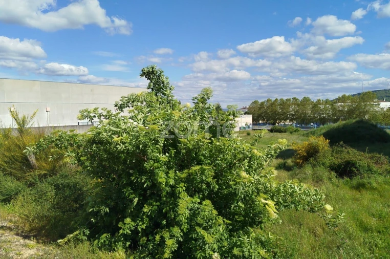 Terreno para Venda em Moimenta da Beira Foto 19