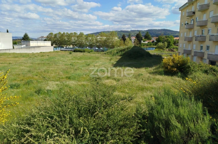 Terreno para Venda em Moimenta da Beira Foto 23