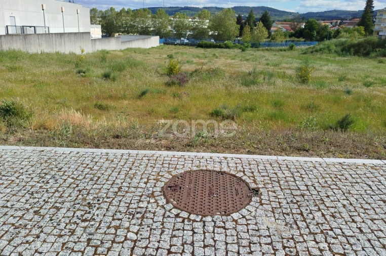 Terreno para Venda em Moimenta da Beira Foto 39