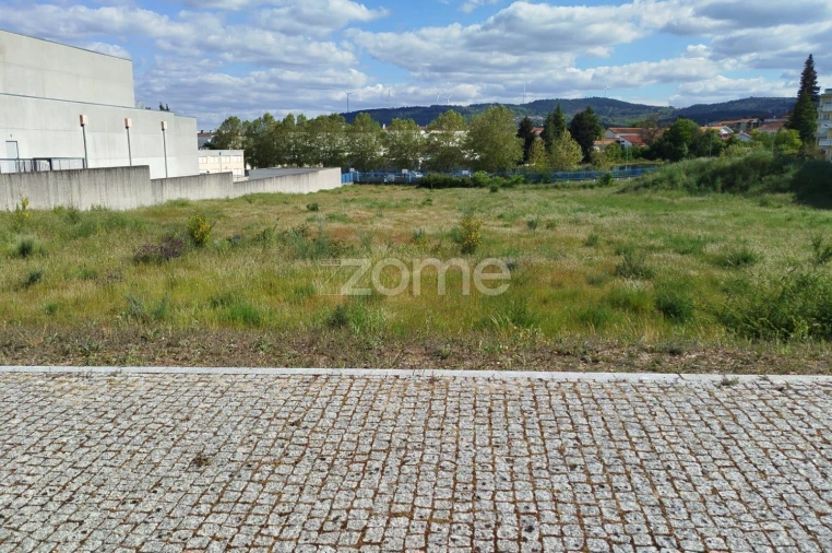 Terreno para Venda em Moimenta da Beira Foto 41