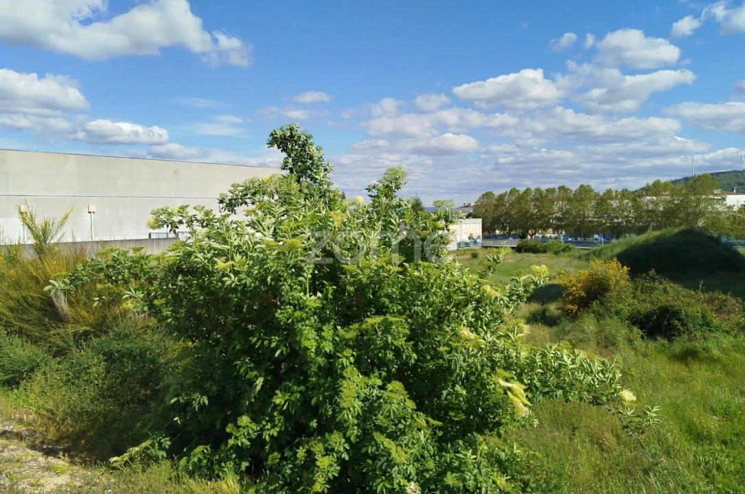 Terreno para Venda em Moimenta da Beira Foto 19