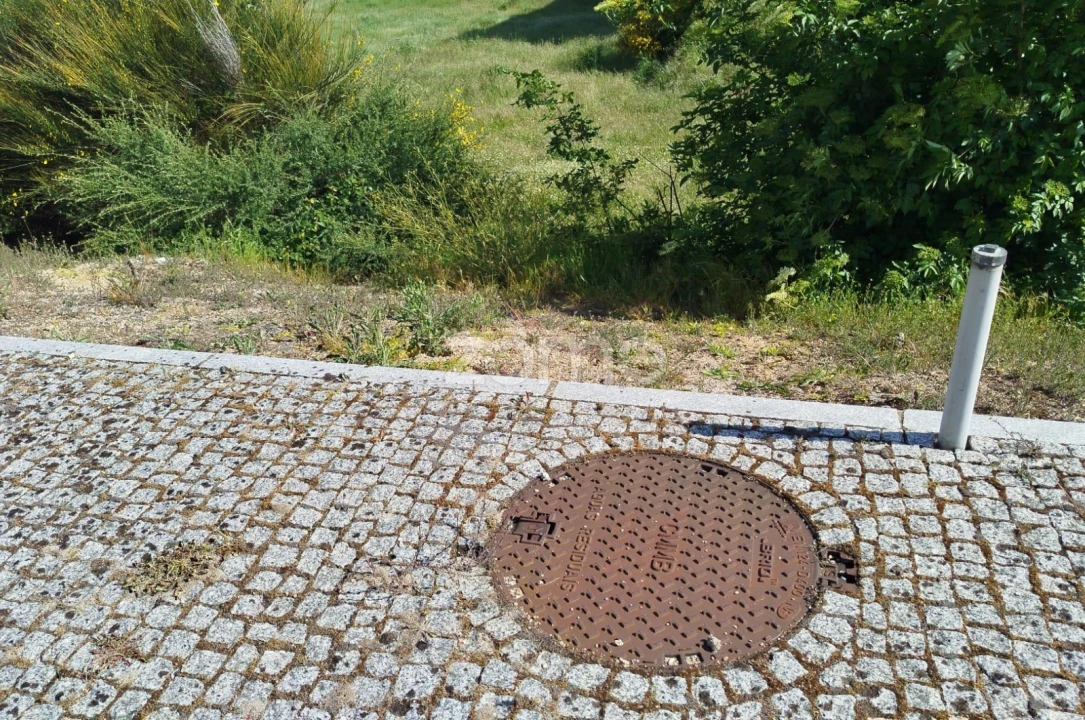 Terreno para Venda em Moimenta da Beira Foto 20