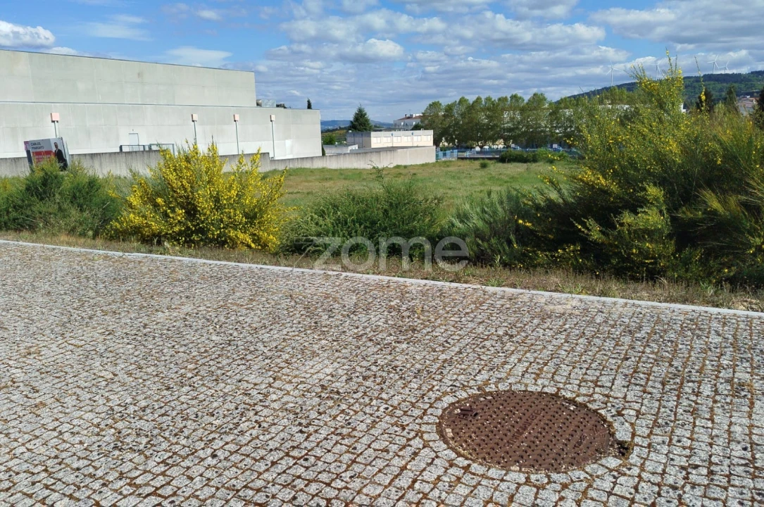 Terreno para Venda em Moimenta da Beira Foto 24