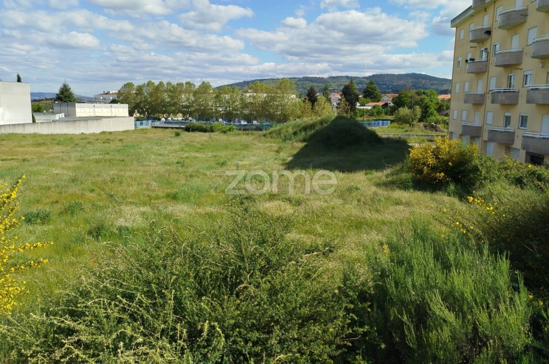 Terreno para Venda em Moimenta da Beira Foto 23
