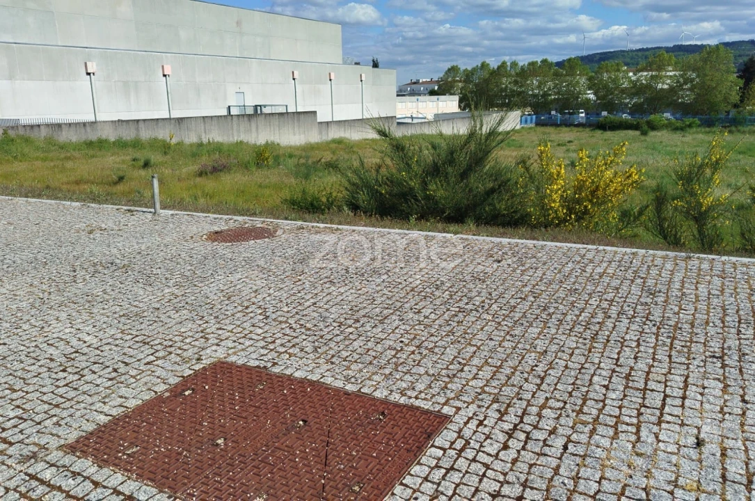 Terreno para Venda em Moimenta da Beira Foto 27