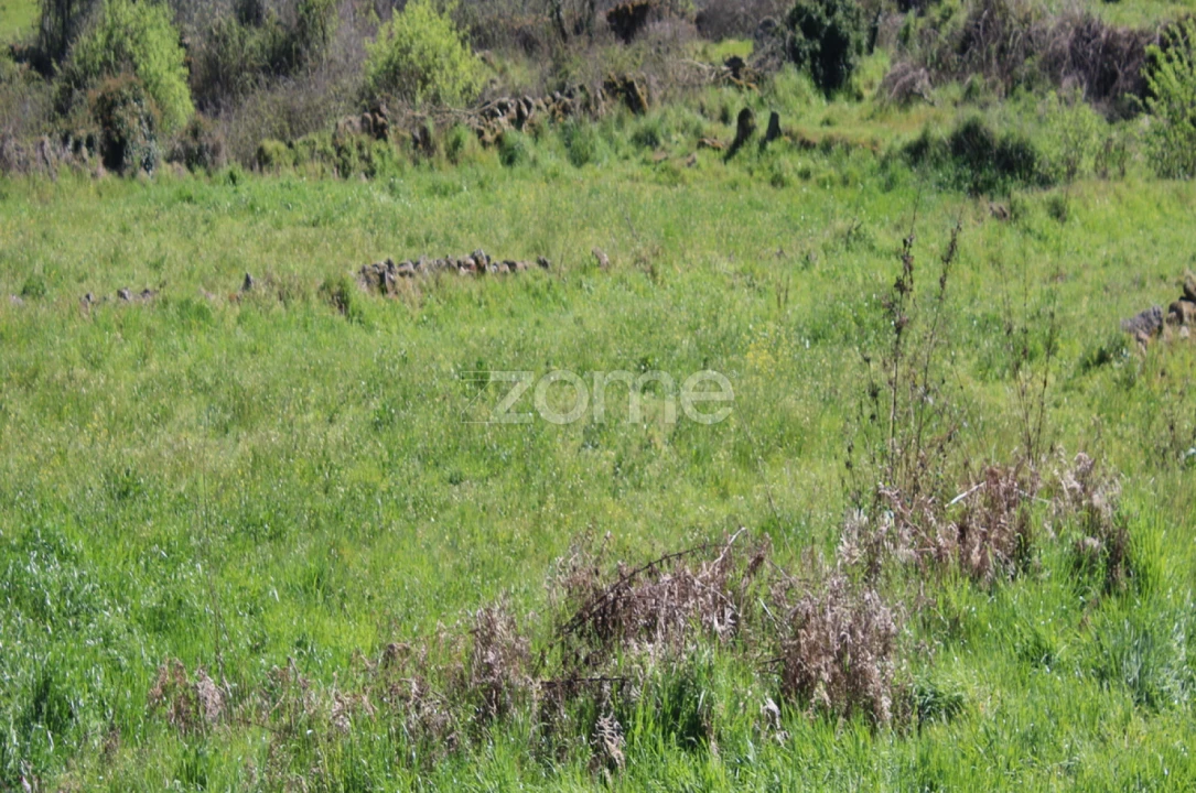 Terreno para Venda em Moimenta da Beira Foto 19