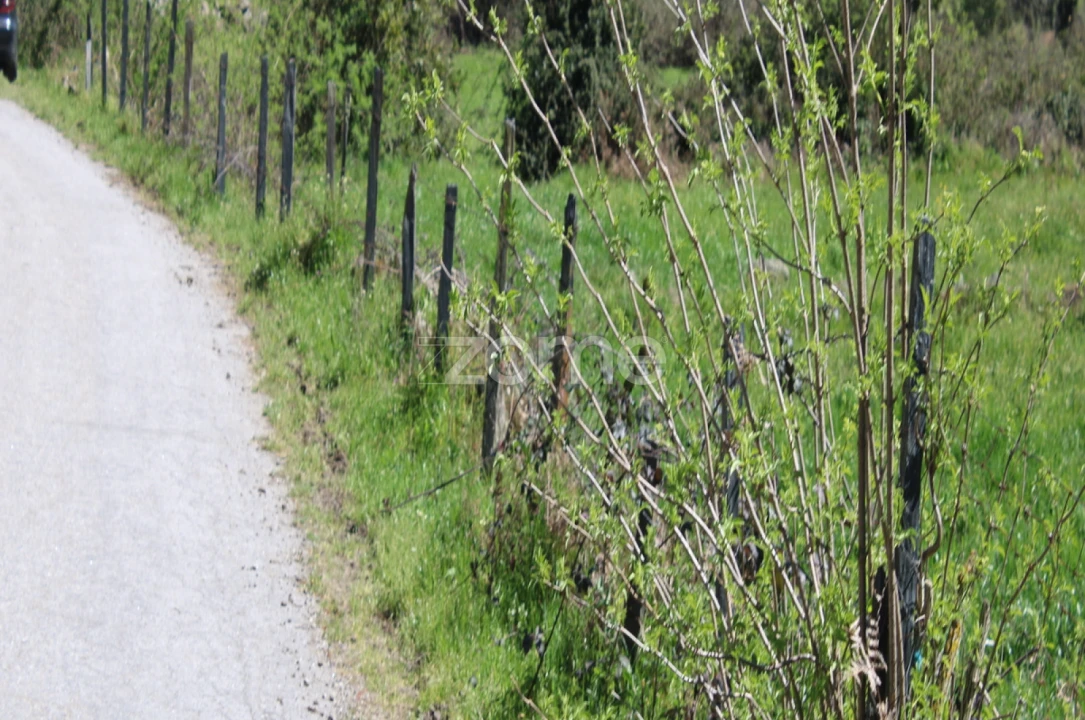 Terreno para Venda em Moimenta da Beira Foto 14