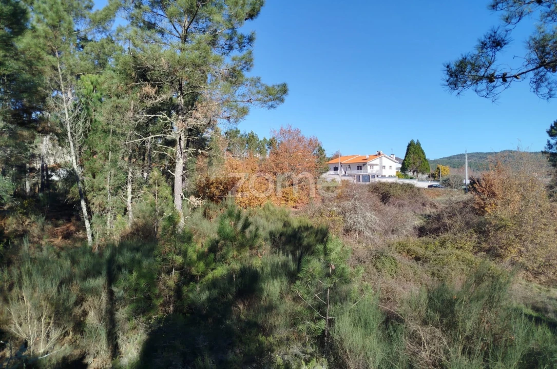 Terreno para Venda em Moimenta da Beira Foto 4