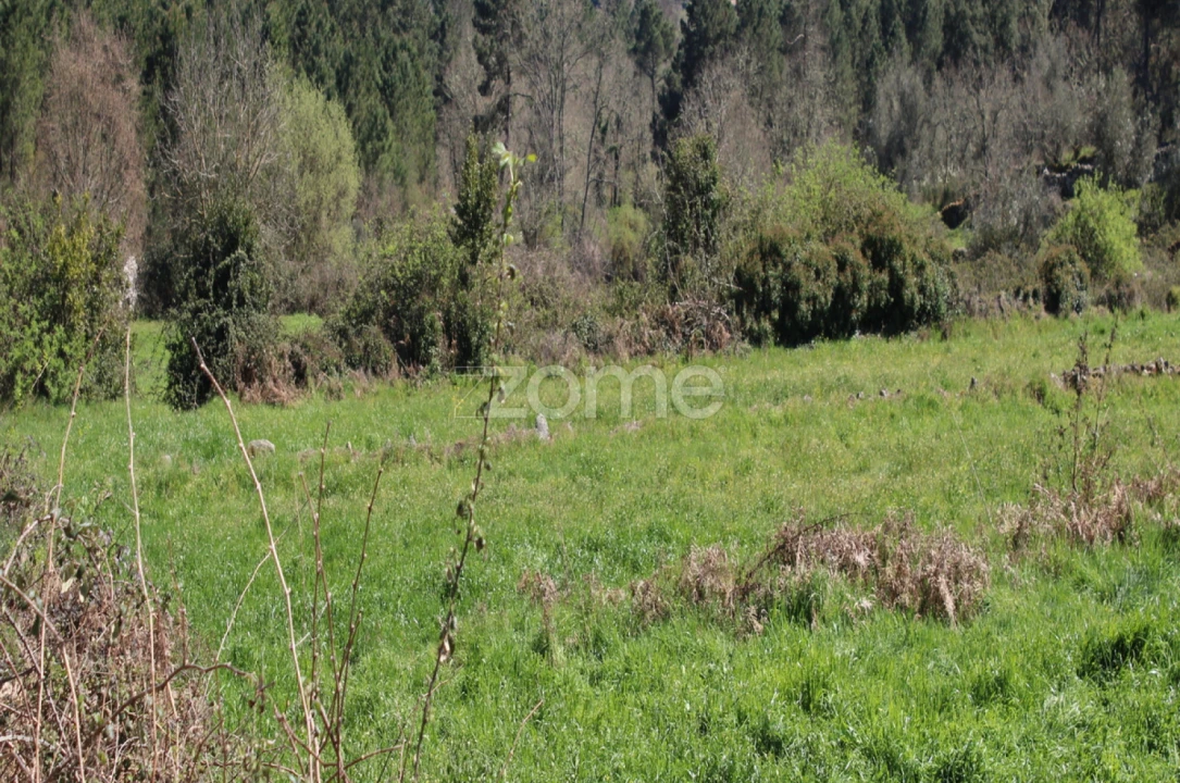 Terreno para Venda em Moimenta da Beira Foto 8