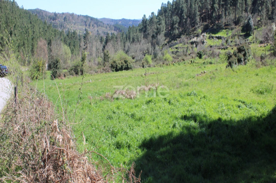 Terreno para Venda em Moimenta da Beira Foto 11