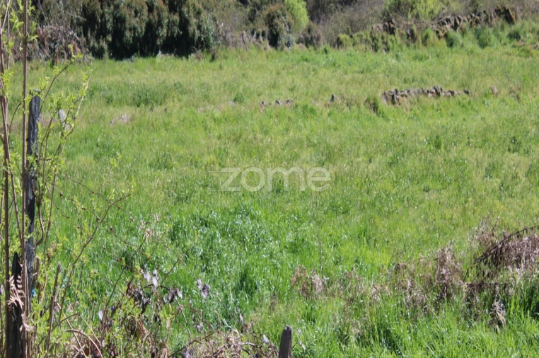 Terreno para Venda em Moimenta da Beira