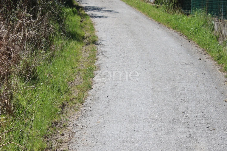 Terreno para Venda em Moimenta da Beira Foto 17