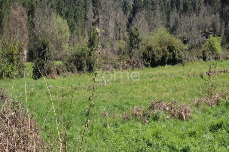 Terreno para Venda em Moimenta da Beira Foto 9