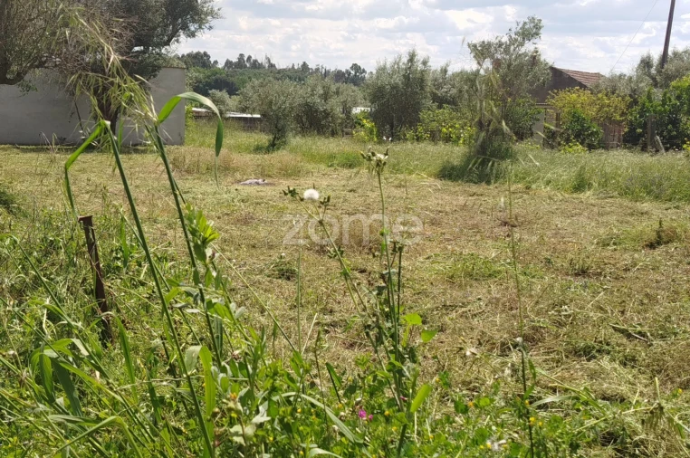 Moradia T2 para Venda em Oliveira do Conde Foto 30