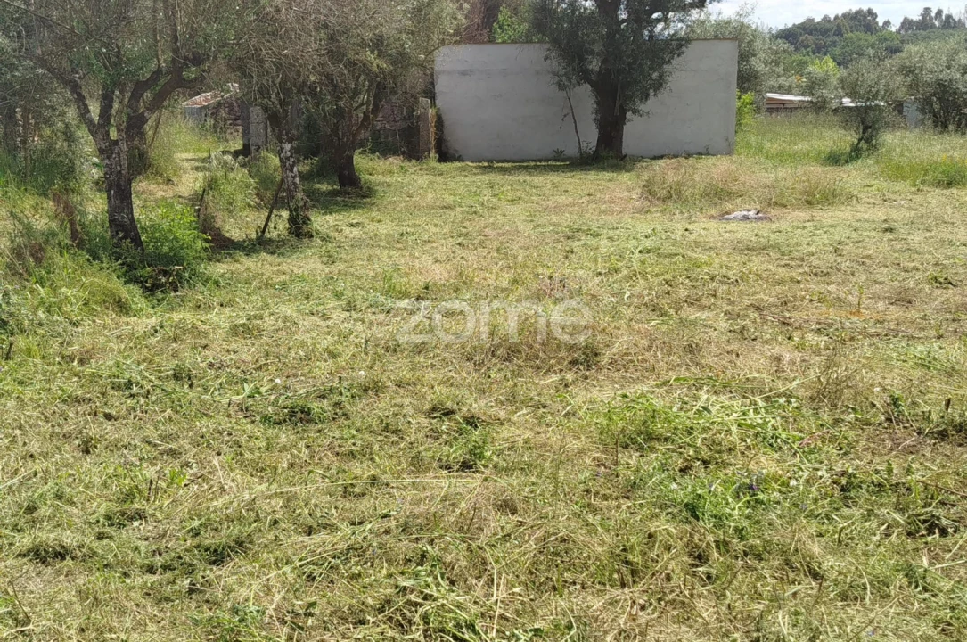 Moradia T2 para Venda em Oliveira do Conde Foto 29