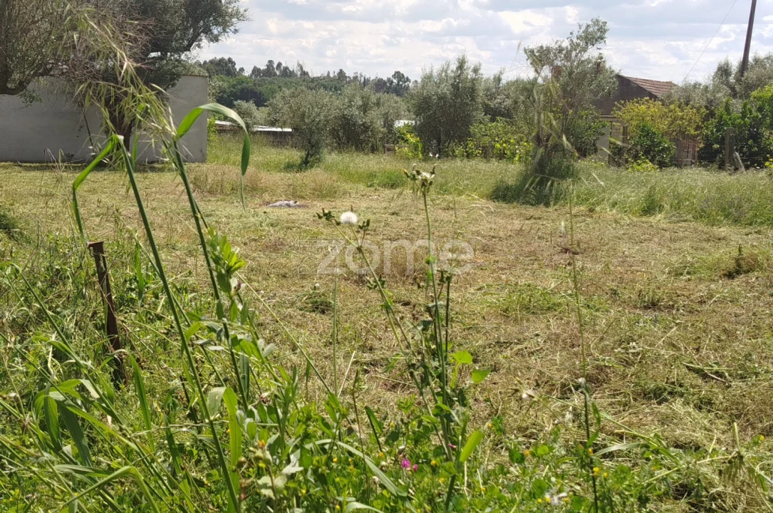 Moradia T2 para Venda em Oliveira do Conde Foto 30