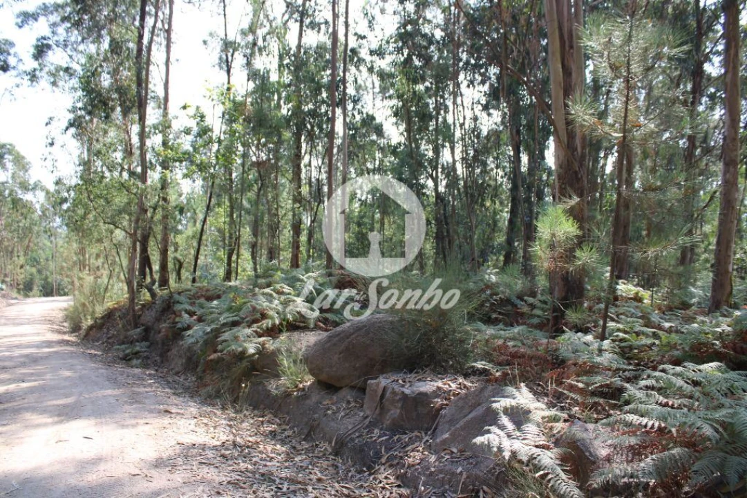 Terreno Agricola ou Rústico para Venda em Galegos (Santa Maria) Foto 2