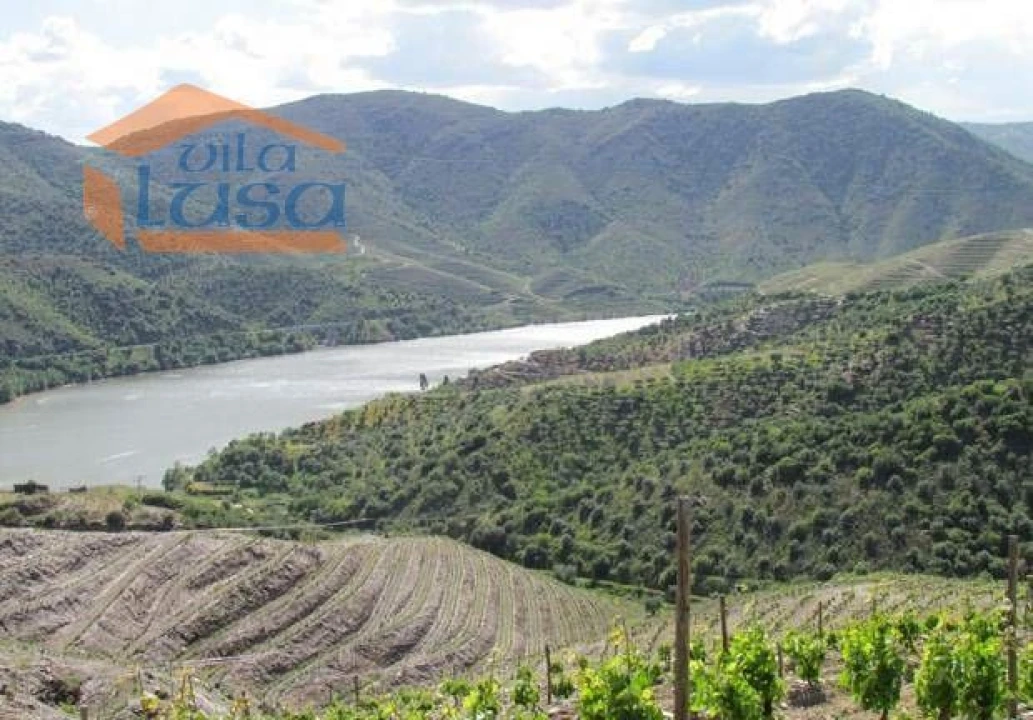 Quinta T4 para Venda em Torre de Moncorvo Foto 9