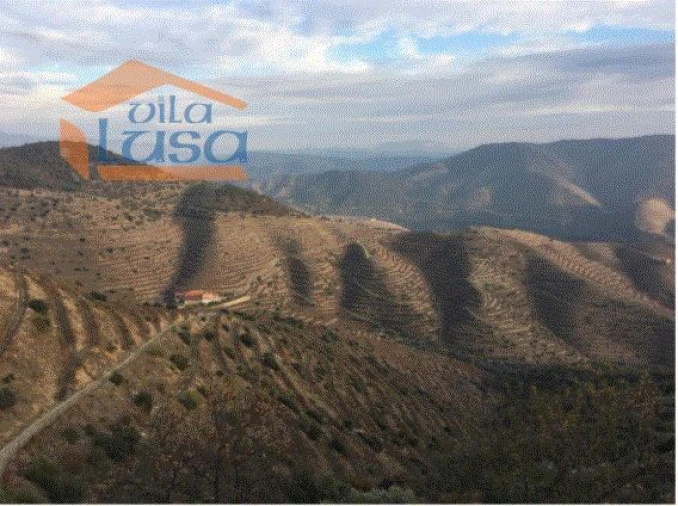 Quinta T4 para Venda em Torre de Moncorvo Foto 2