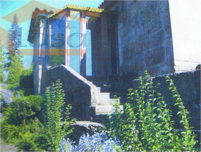 Quinta T6 para Venda em Abade de Neiva Foto 3