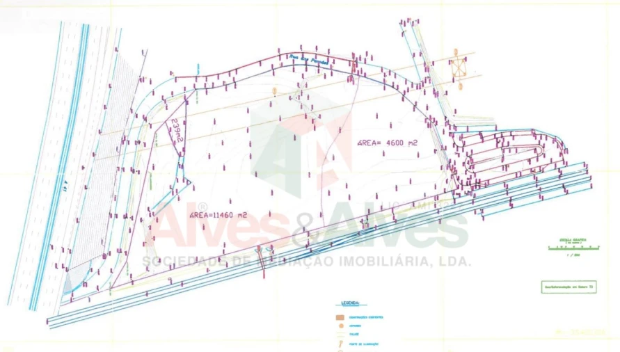 Terreno para Venda em São Pedro Fins Foto 3