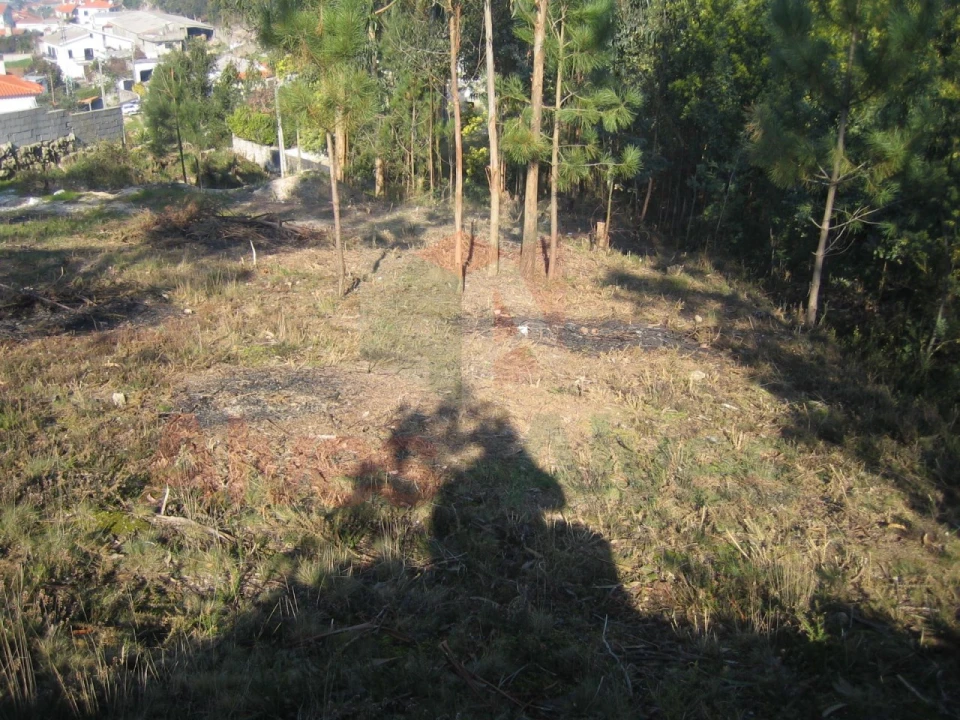 Terreno para Venda em Guilhabreu Foto 5