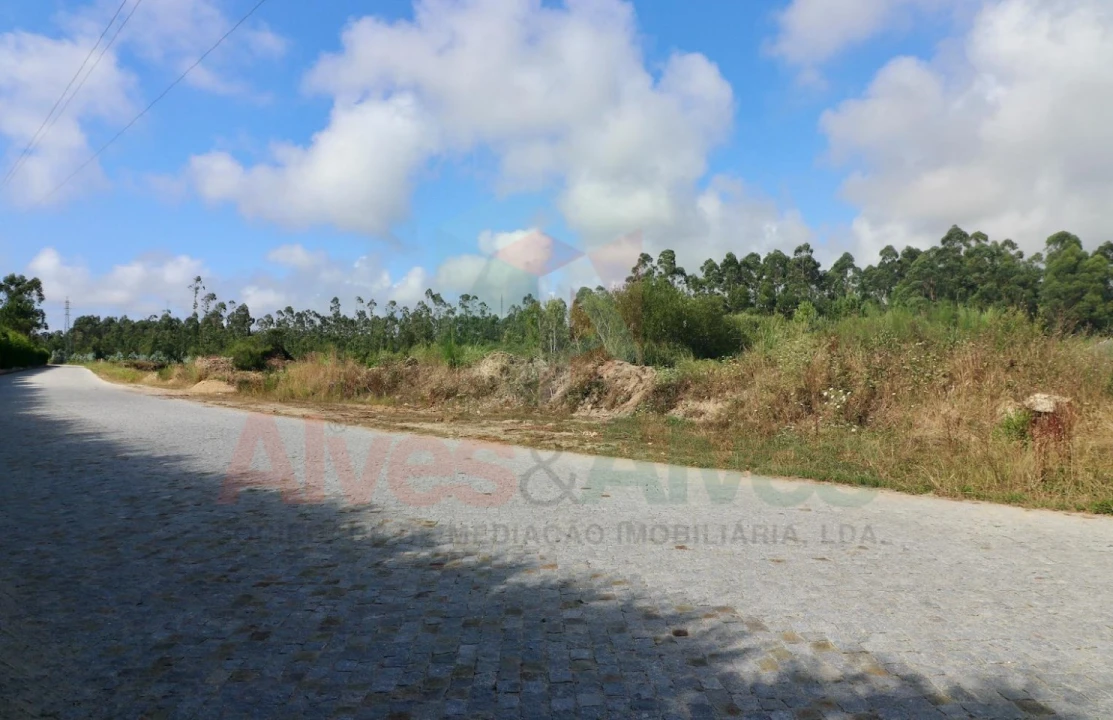 Terreno para Venda em Modivas Foto 1