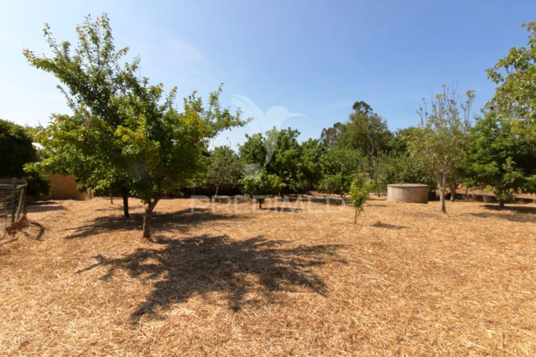 Quinta T3 para Venda em São Teotónio Foto 9