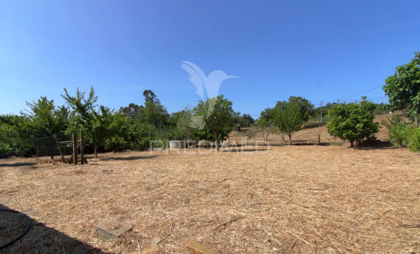 Quinta T3 para Venda em São Teotónio Foto 8