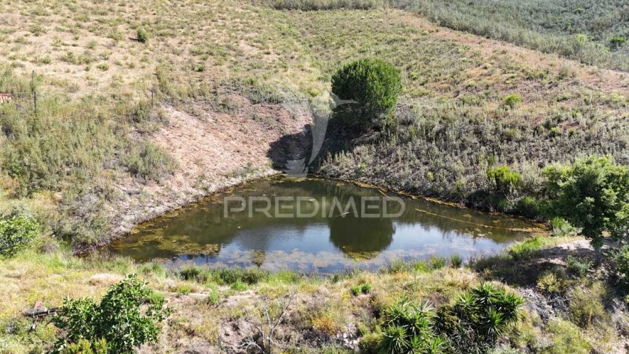 Terreno para Venda em Santana da Serra Foto 5