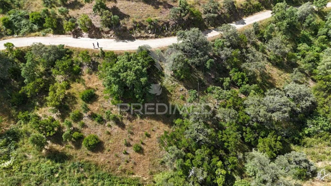 Terreno para Venda em Santana da Serra Foto 17