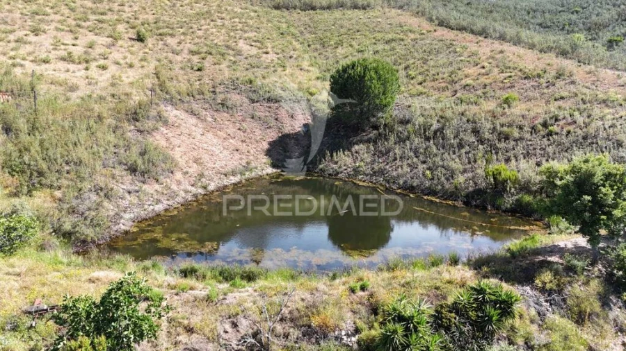Terreno para Venda em Santana da Serra Foto 5