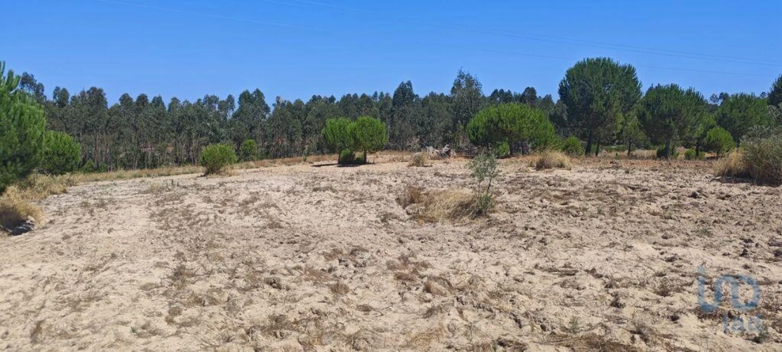Terreno para Venda em Branca Foto 6