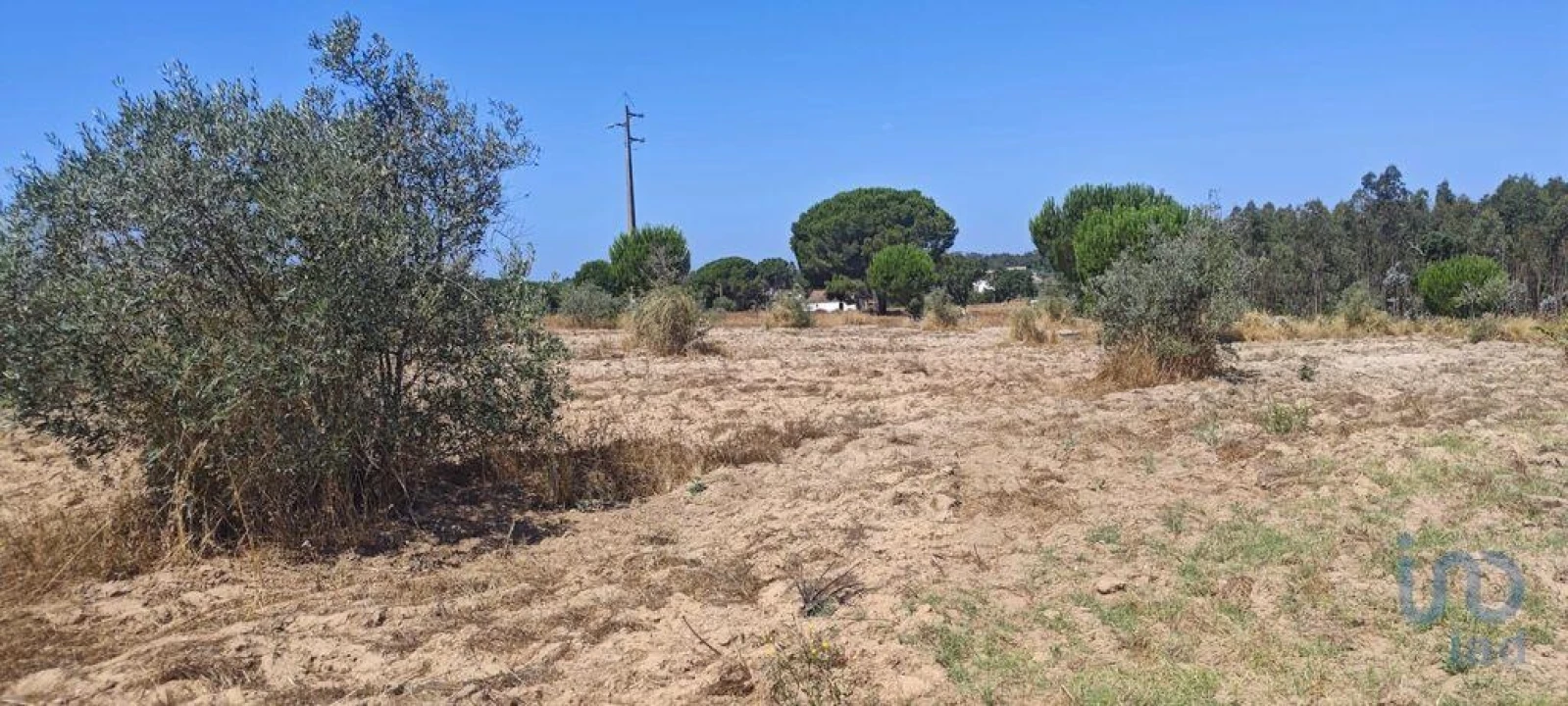 Terreno para Venda em Branca Foto 7