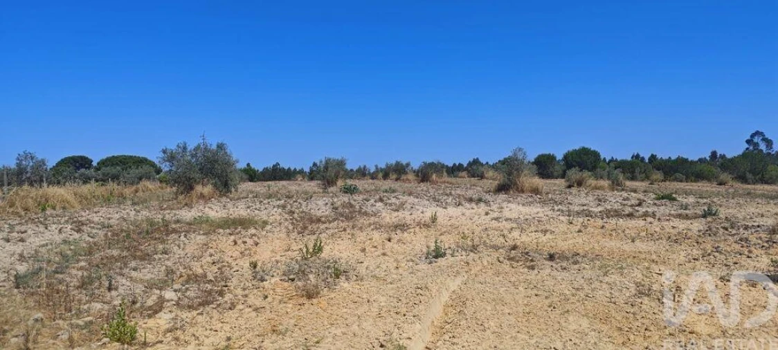 Terreno para Venda em Branca Foto 15