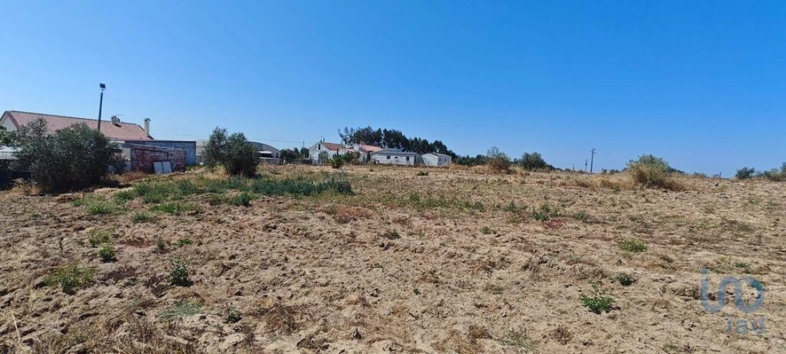 Terreno para Venda em Branca Foto 10