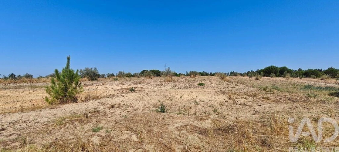 Terreno para Venda em Branca Foto 16