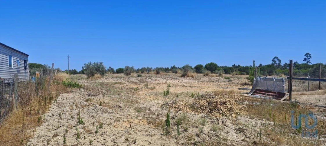Terreno para Venda em Branca Foto 2
