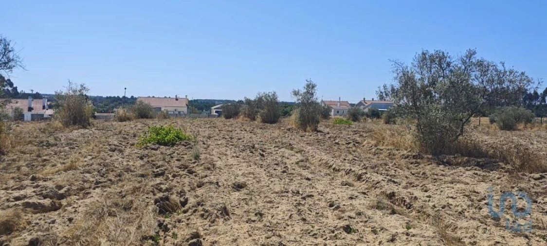 Terreno para Venda em Branca Foto 8