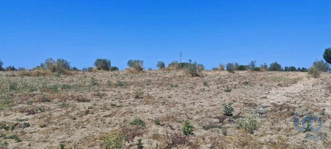 Terreno para Venda em Branca Foto 11