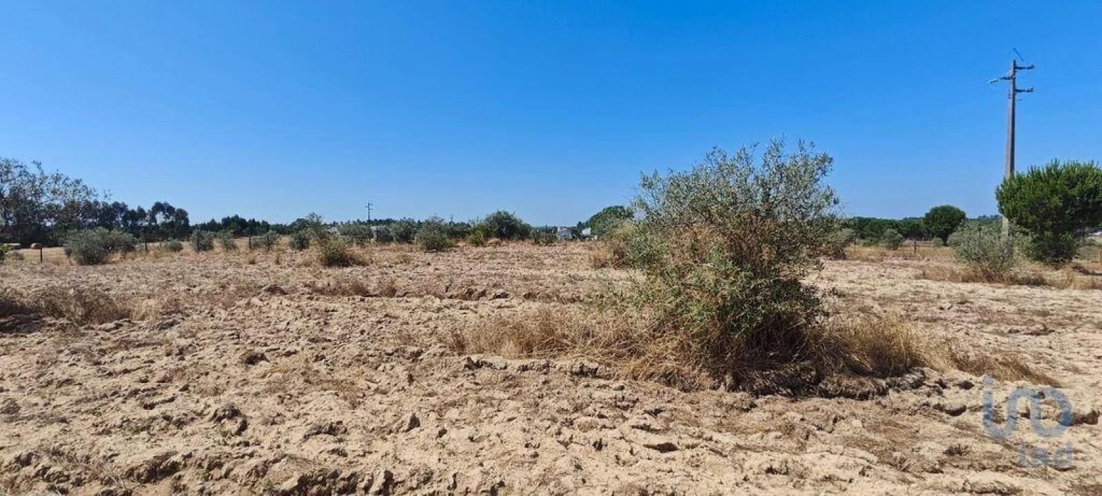 Terreno para Venda em Branca Foto 5