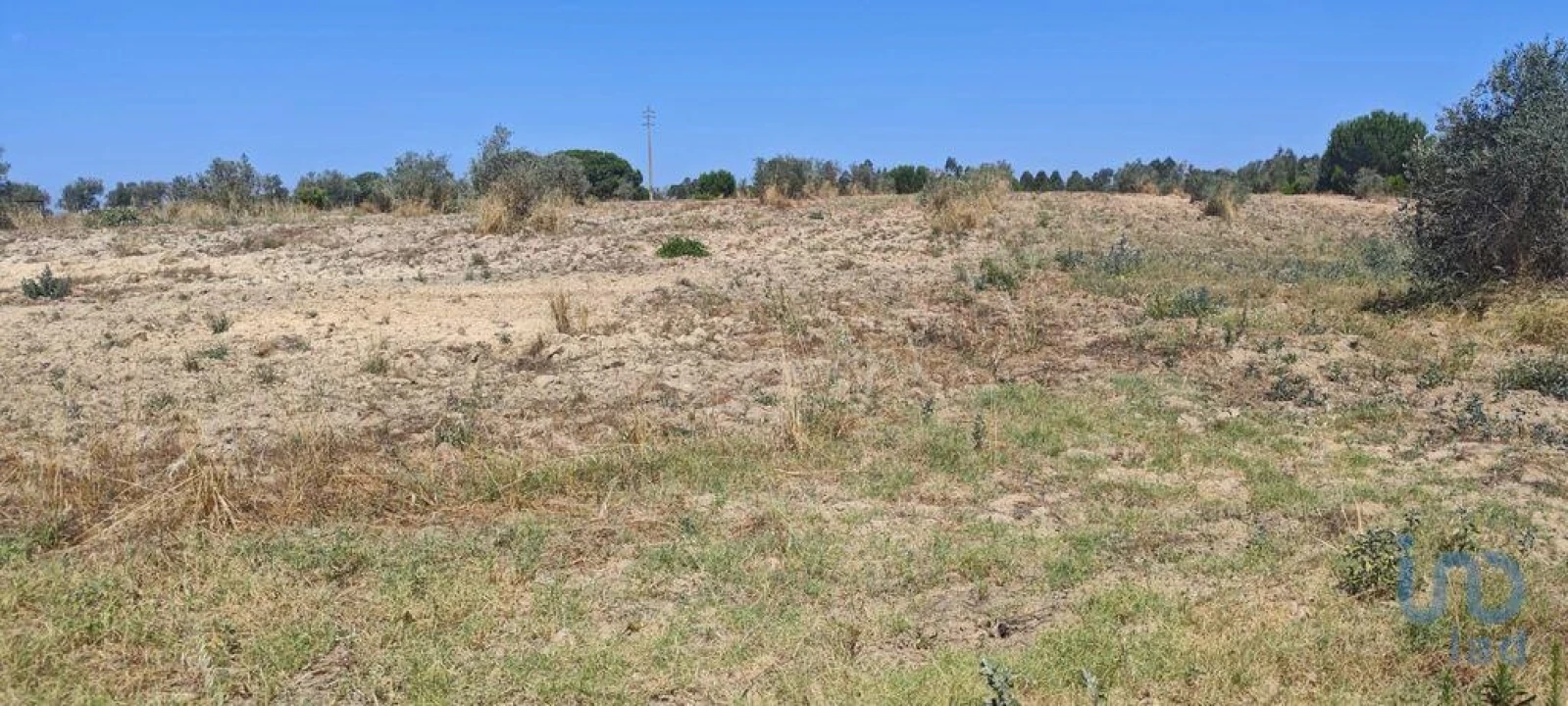 Terreno para Venda em Branca Foto 13