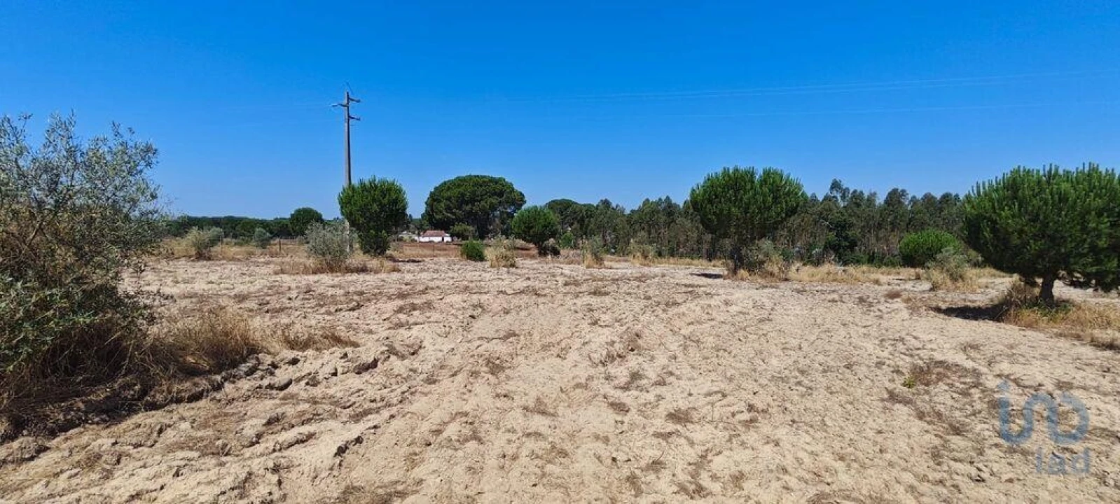 Terreno para Venda em Branca Foto 4