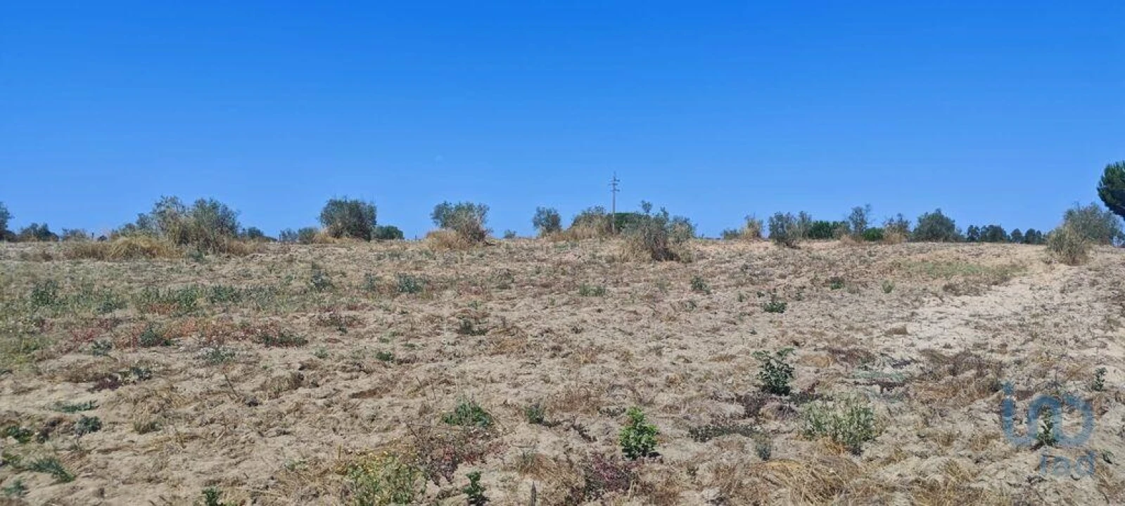 Terreno para Venda em Branca Foto 11