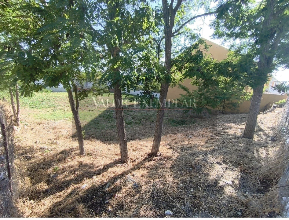 Terreno para Venda em Sado Foto 9