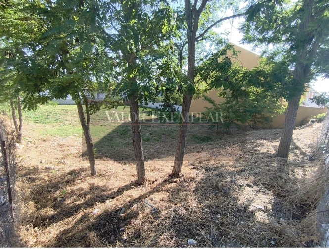 Terreno para Venda em Sado Foto 9