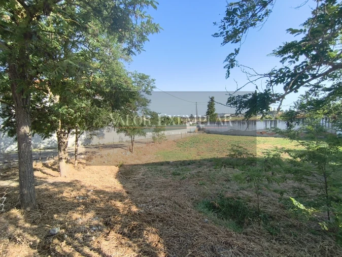 Terreno para Venda em Sado Foto 15