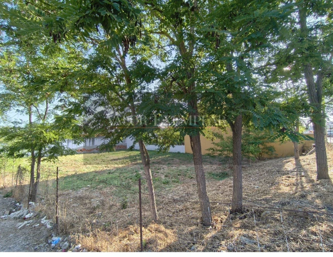 Terreno para Venda em Sado Foto 6