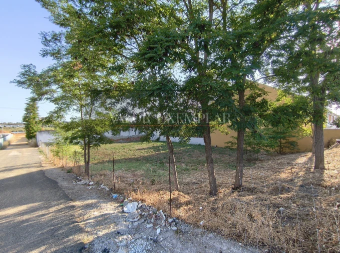 Terreno para Venda em Sado Foto 5