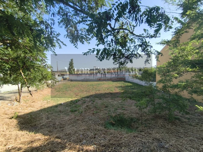 Terreno para Venda em Sado Foto 12